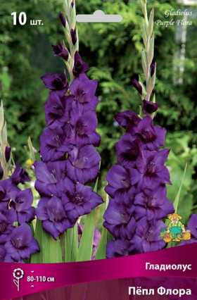 Пепл Флора 10шт Поиск