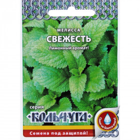 Свежесть Кольчуга