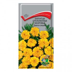 Джипси саншайн Ц(Поиск)