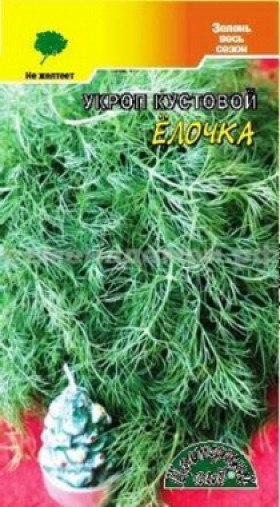 Елочка кустовой / Цветущий сад