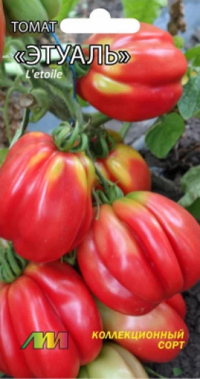 Этуаль /Мязина