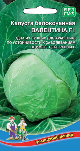 Валентина Ц(УД)