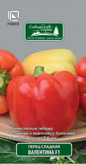 Валентина Ц(Поиск)