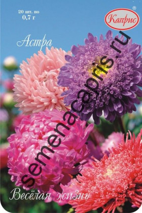 Астра Веселая жизнь Смесь Каприс 20*1