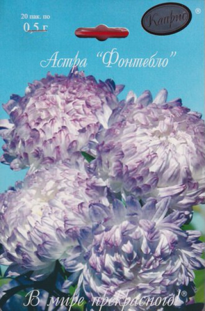 Астра Фонтебло Каприс