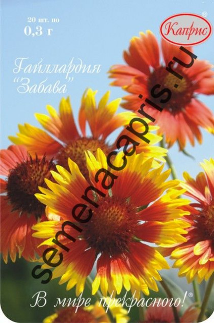 Гайлардия Забава Каприс