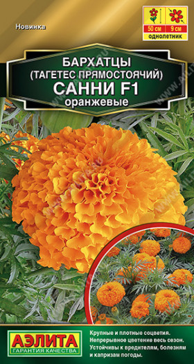 Санни оранжевые прямостоячие Ц(А)