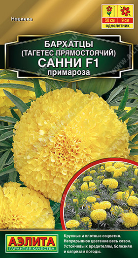 Санни примароза прямостоячие Ц(А)