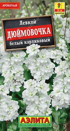 Дюймовочка карлик. белый Ц(А)