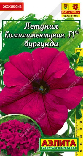 Бургунди крупноцветковая Ц(А)