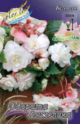 Одората Анжелика бел 3шт