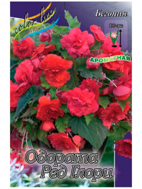 Одората Ред Глори 3шт