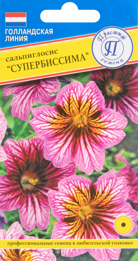 Супербиссима Ц(П)