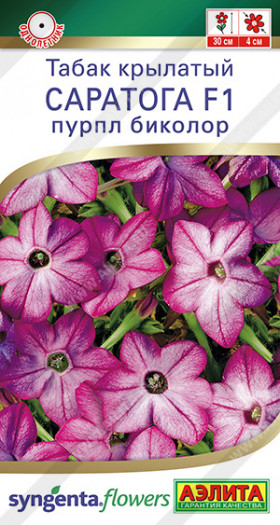 Саратога пурпл биколор Ц(А)