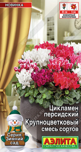 Крупноцветковый смесь Ц(А) ()