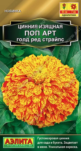 Поп арт голд ред страйпс Ц(А)