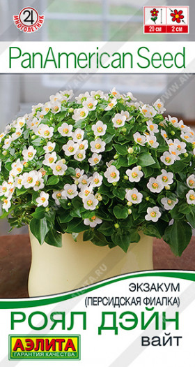 Роял дэйн вайт Ц(А)