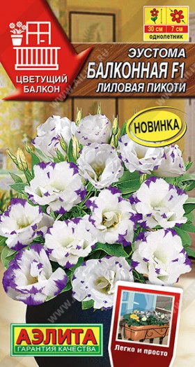 Балконная лиловая пикоти Ц(А)