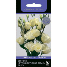 Эйбиси Еллоу Ц(Поиск)