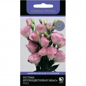 Эйбиси Роуз Ц(Поиск)