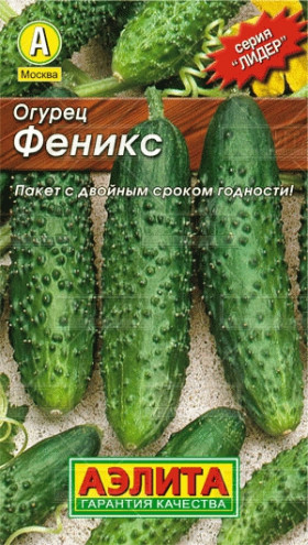 Феникс Лидер