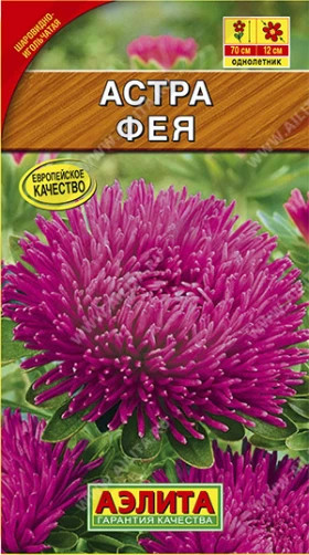 Фея шаровидная-игольчатая Ц(А)