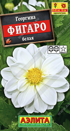 Фигаро белая махровая Ц(А)