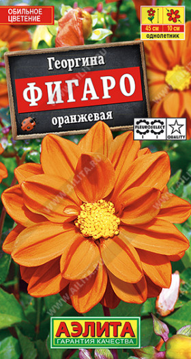 Фигаро оранжевая махровая Ц(А)
