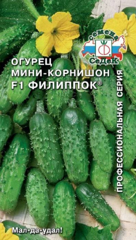 Филиппок Ц(С)