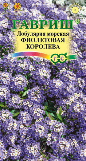 Фиолетовая королева Ц(Г)