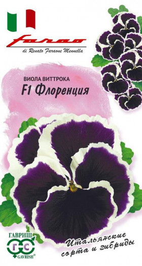 Флоренция Ц(Г)