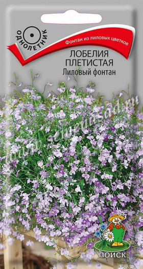 Фонтан Лиловый Ц(Поиск)