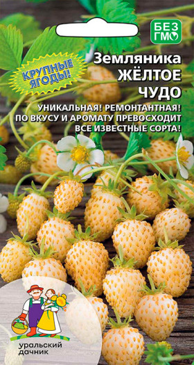 Желтое чудо Ц(УД)