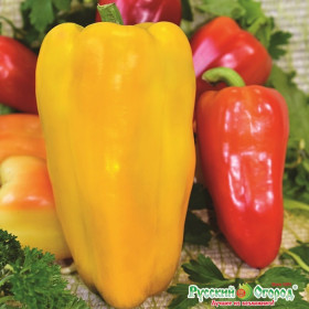 Желтый бык сладкий 12шт Ц(Н)