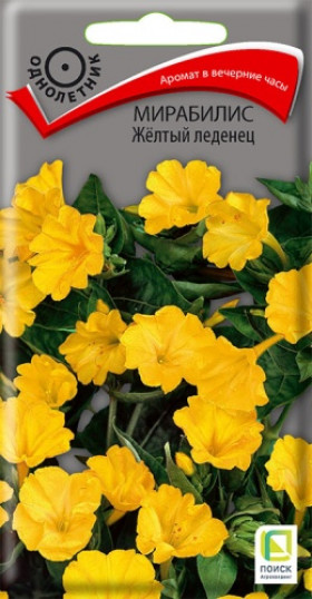 Желтый леденец Ц(Поиск)