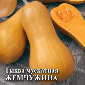 Жемчужина мускатная 25 г\Гавриш