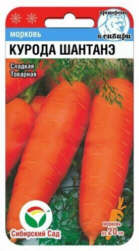 Курода Шантанэ 1г СС