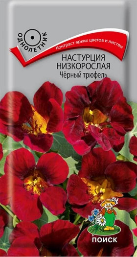 Черный трюфель низкорослая Ц(Поиск)