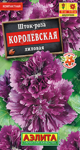 Королевская лиловая Ц(А)