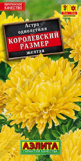 Королевский размер желтая Ц(А)