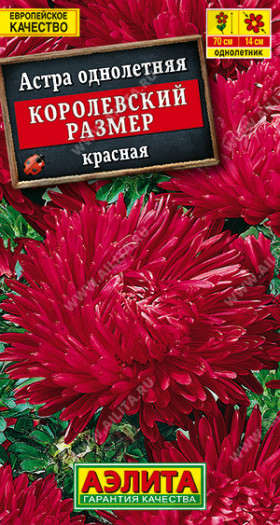 Королевский размер красная Ц(А)