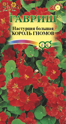 Король гномов Ц(Г)