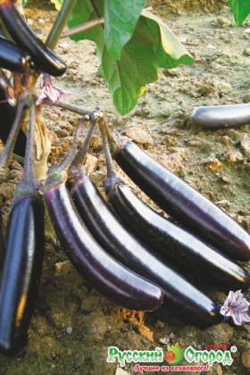 Король Севера 35шт Ц(Н)