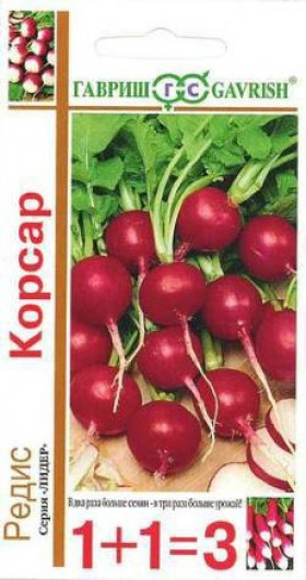 Корсар 1+1 Ц(Г)