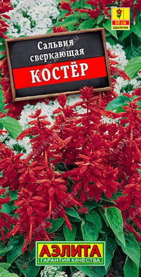 Костер Ц(А)