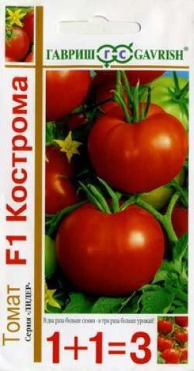 Кострома 1+1\24шт.Ц(Г)