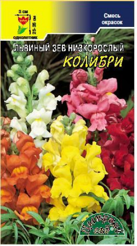 Колибри смесь/Цветущий Сад