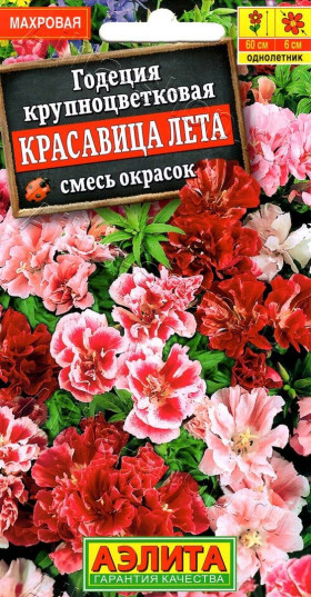 Красавица лета смесь Ц(А)