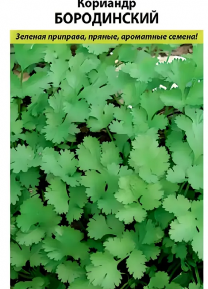 Бородинский Ц(Н)