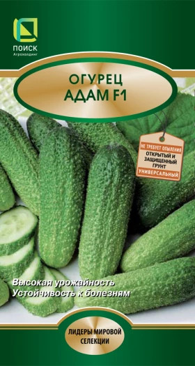 Адам 10шт.Ц(Поиск)